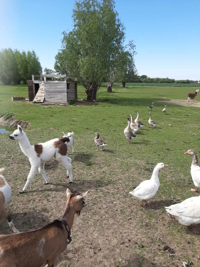 Gite Canard Fromelles Kültér fotó