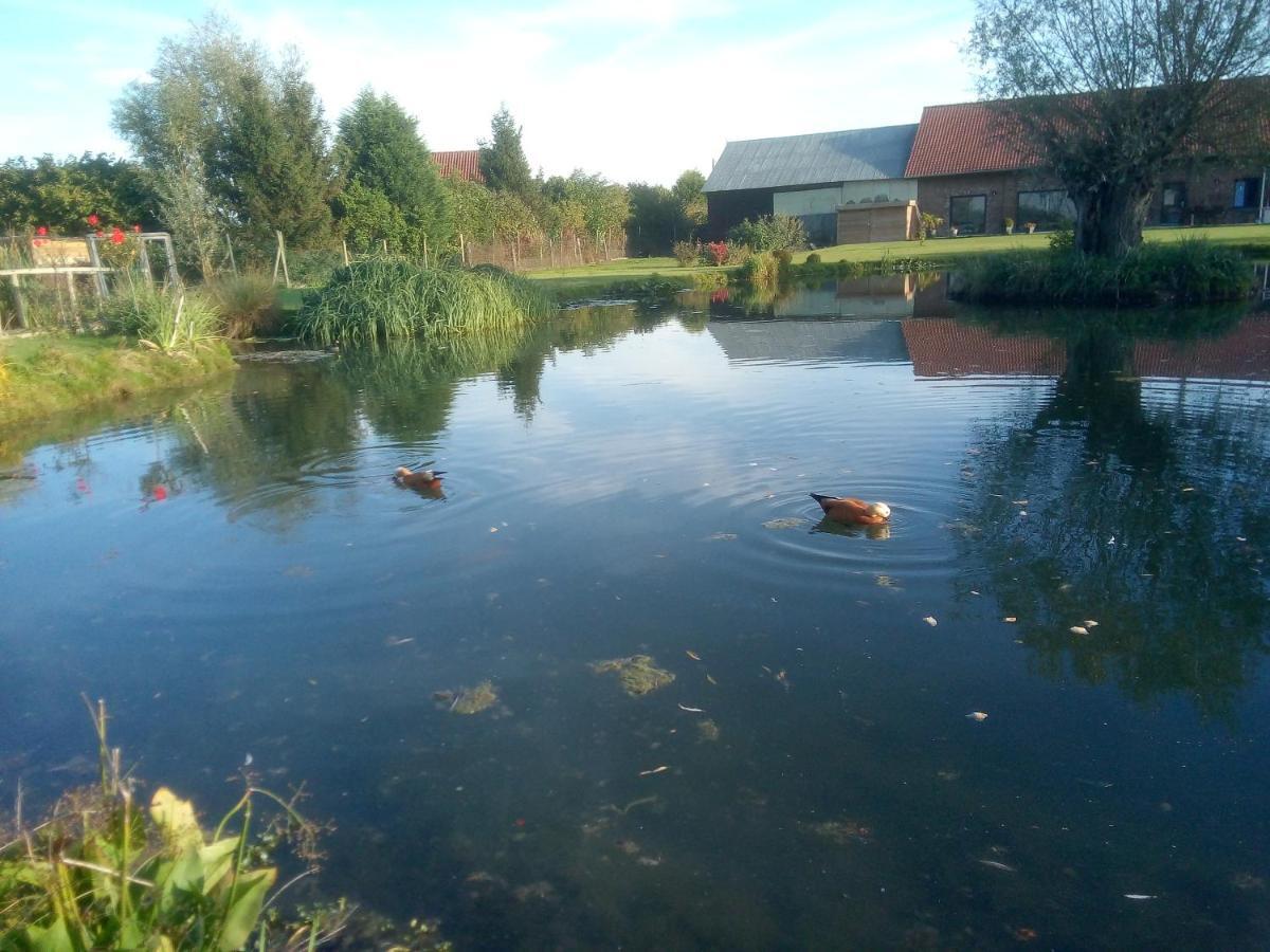 Gite Canard Fromelles Kültér fotó